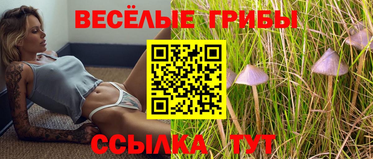 Псилоцибиновые грибы мухоморы Новоалександровск