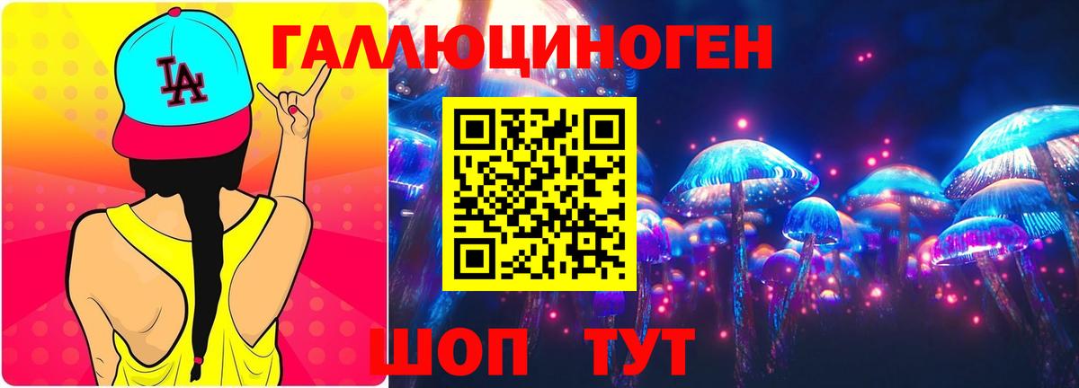 Новоалександровск  Псилоцибиновые грибы ЛСД  Псилоцибиновые грибы GOLDEN TEACHER  Вход с VPN 